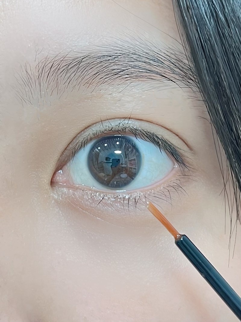 試用